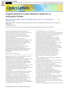 Imagerie t&eacute;rahertz &agrave; super-r&eacute;solution avec m&eacute;ta-guide d'ondes