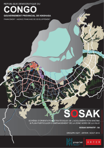 SOSAK Kinshasa : Rapport de planification urbaine strat&eacute;gique 2014