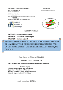 Protection et maintenance &eacute;lectriques de l'alternateur G2 par AMDEC &agrave; Ouaga II