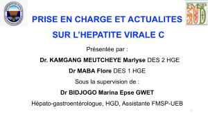 Prise en charge et actualit&eacute;s sur l'h&eacute;patite virale C