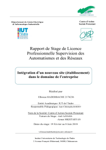 Rapport de stage : Int&eacute;gration d'un nouveau site dans le domaine d'entreprise