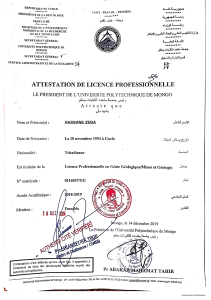 Professional License Attestation - Geological/Mining Engineering