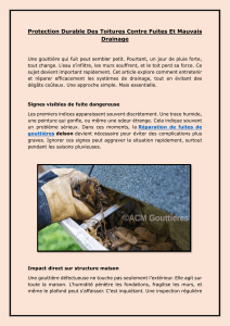 Protection Toitures : Fuites et Drainage
