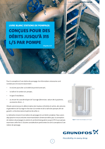 Conception de stations de pompage: D&eacute;bits jusqu'&agrave; 315 L/s par pompe