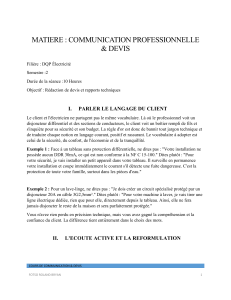 Communication Professionnelle & Devis pour &Eacute;lectriciens - Cours DQP