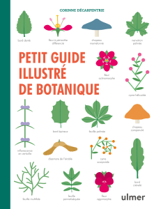 Petit Guide Illustr&eacute; de Botanique - Identification des Plantes