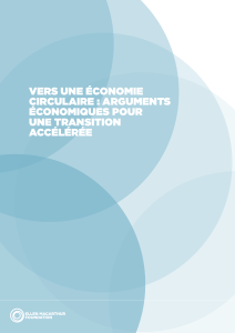 Vers une &eacute;conomie circulaire : arguments &eacute;conomiques pour une transition acc&eacute;l&eacute;r&eacute;e