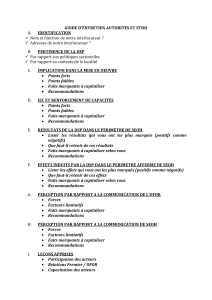 Guide d'entretien pour autorit&eacute;s et STDH : DSP et communication