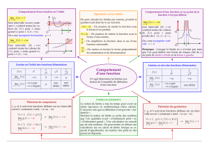 &Eacute;tude des limites en math&eacute;matiques