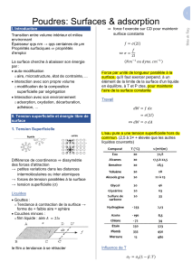 Poudres: Surfaces & adsorption - Manuel de cours
