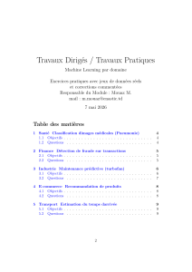Travaux Dirig&eacute;s / Travaux Pratiques Machine Learning par domaine
