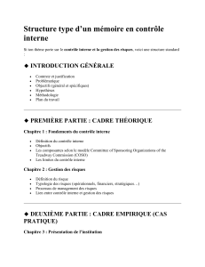 Structure d'un m&eacute;moire contr&ocirc;le interne