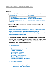 Feuille de correction : Protozoaires (TD N&deg;2)