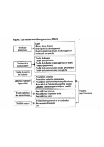 Neurodevelopmental Disorders (DSM-5) Diagram