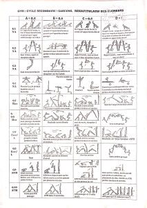 Gymnastics Elements Summary for Secondary School Boys