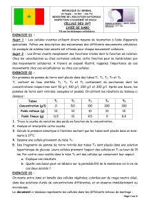 TD sur les &eacute;changes cellulaires - 1&egrave;re S2
