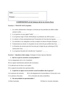 Composition Sciences Vie Terre : Roche et Reproduction