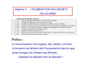 Cellular Waste Elimination Chapter