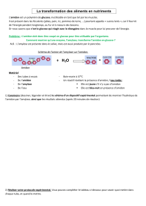 Guide exp&eacute;rimental : Hydrolyse de l'amidon par l'amylase