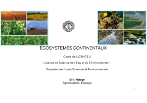 &Eacute;cosyst&egrave;mes Continentaux: Notes de Cours Licence 3