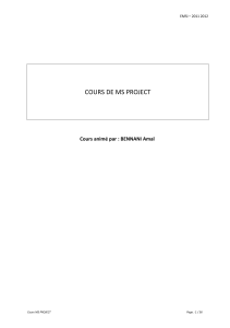Cours MS Project : Guide de planification et gestion de projet