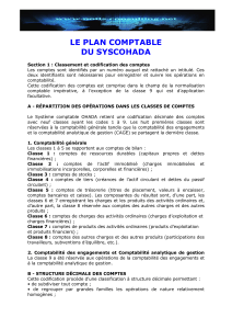 Plan Comptable SYSCOHADA: Classification et Codification des Comptes