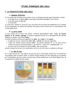 &Eacute;tude chimique des sols : Composition et Propri&eacute;t&eacute;s