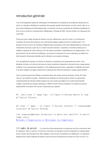 Segmentation comportementale des abonn&eacute;s mobiles pr&eacute;pay&eacute;s de Tunisie Telecom