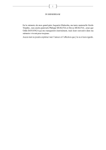 Th&egrave;se sur l'efficacit&eacute; de la PNC &agrave; Kinshasa