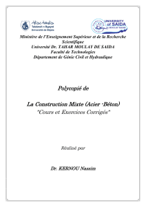 Construction Mixte (Acier-B&eacute;ton) - Cours et Exercices Corrig&eacute;s