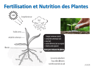 Fertilisation et Nutrition des Plantes - Cours Universitaire