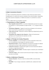 Comptabilit&eacute; Approfondie L3/FC - R&egrave;gles et Nomenclatures Financi&egrave;res