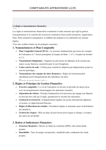 Cours comptabilit&eacute; approfondie