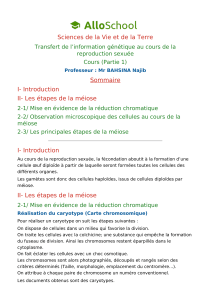 M&eacute;iose et transfert g&eacute;n&eacute;tique dans la reproduction sexu&eacute;e - Biologie lyc&eacute;e
