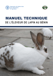 Manuel technique de l'&eacute;leveur de lapin au B&eacute;nin
