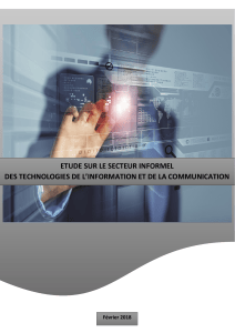 &Eacute;tude sur le secteur informel des TIC au Burkina Faso
