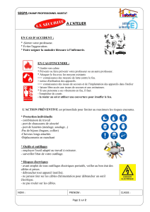 S&eacute;curit&eacute; en atelier - SEGPA Habitat