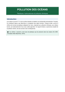 Pollution des Oc&eacute;ans: Plastiques, Hydrocarbures & Polluants Chimiques