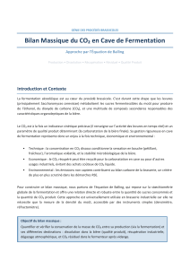 Bilan Massique du CO₂ en Cave de Fermentation