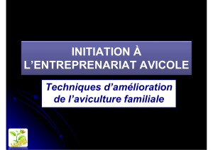 Initiation &agrave; l'entrepreneuriat avicole : techniques d'am&eacute;lioration de l'aviculture familiale