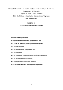 Chapitre 3 : Les Terp&egrave;nes et leurs d&eacute;riv&eacute;s