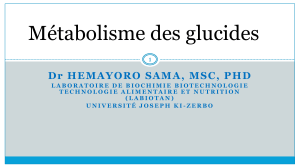 M&eacute;tabolisme des glucides : glycolyse, glycog&eacute;nolyse, anabolisme