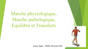 Marche physiologique, pathologique, &eacute;quilibre et transferts