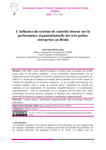Influence du contr&ocirc;le interne sur la performance des TPE au B&eacute;nin