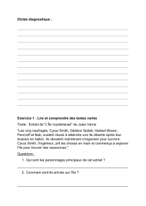Test de dict&eacute;e diagnostique fran&ccedil;ais