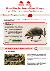 Fiche d'identification du h&eacute;risson d'Europe