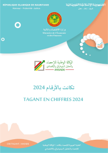 Tagant En Chiffres 2024: Rapport Statistique sur la R&eacute;gion de Tagant, Mauritanie