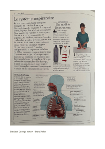 Human Body: Respiratory System - Steve Parker