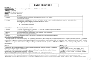 Le&ccedil;on 2 : La digestion des aliments - 3e