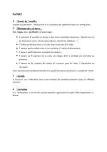 Manuel de Contr&ocirc;le des Op&eacute;rations Bancaires et Financi&egrave;res